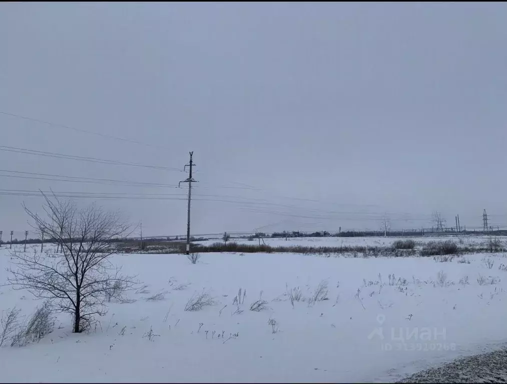 Участок в Саратовская область, Саратов Центральная ул. (6.0 сот.) - Фото 1