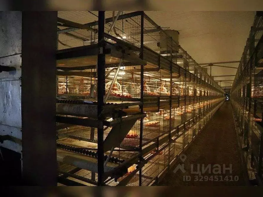 Помещение свободного назначения в Татарстан, Муслюмовский район, ... - Фото 2