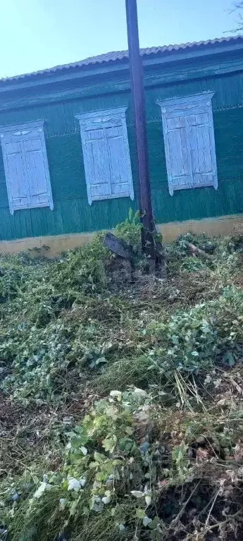 Дом в Саратовская область, Балашовский район, с. Терновка ул. Малая ... - Фото 1