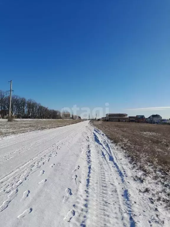 Участок в Белгородская область, Белгородский район, Тавровское с/пос, ... - Фото 1