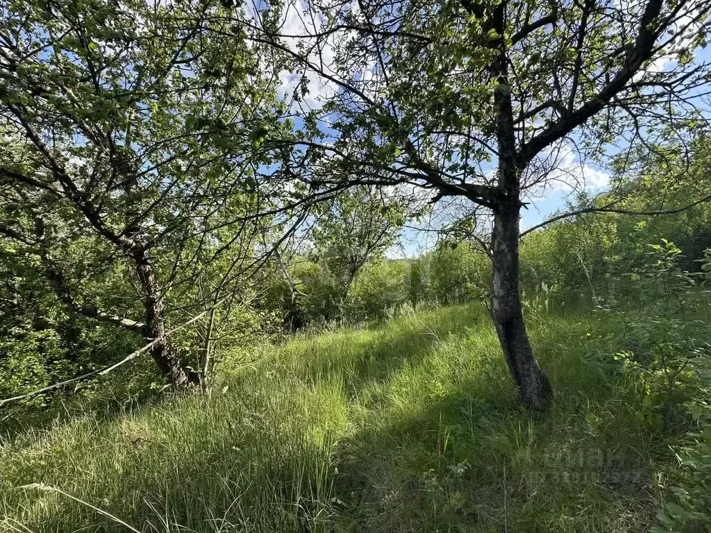 Участок в Белгородская область, Белгородский район, Беломестненское ... - Фото 0
