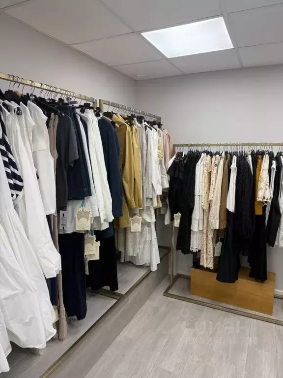 Торговая площадь в Москва Ермолаевский пер., 4 (14 м) - Фото 2