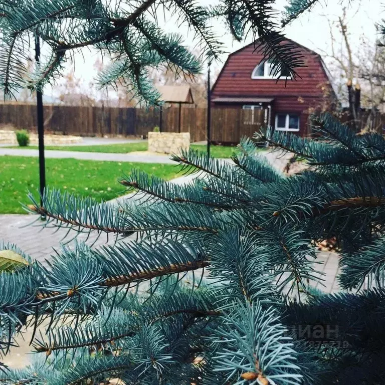 Дом в Саратовская область, Балаковский район, Быково-Отрогское ... - Фото 0