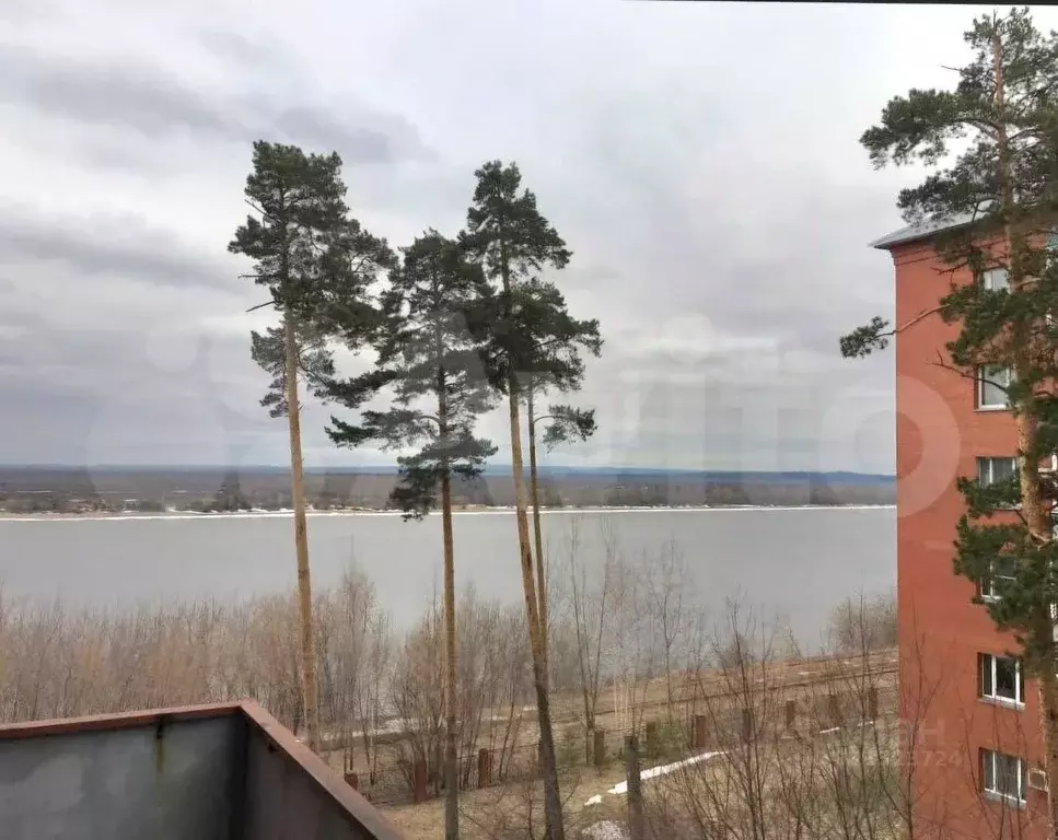 4-к кв. Пермский край, Пермь Кировоградская ул., 48 (191.0 м) - Фото 2