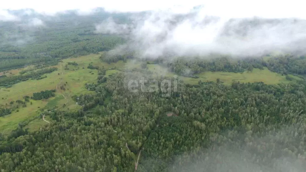 Участок в Мошковский район, село Сокур (174.5 м) - Фото 1