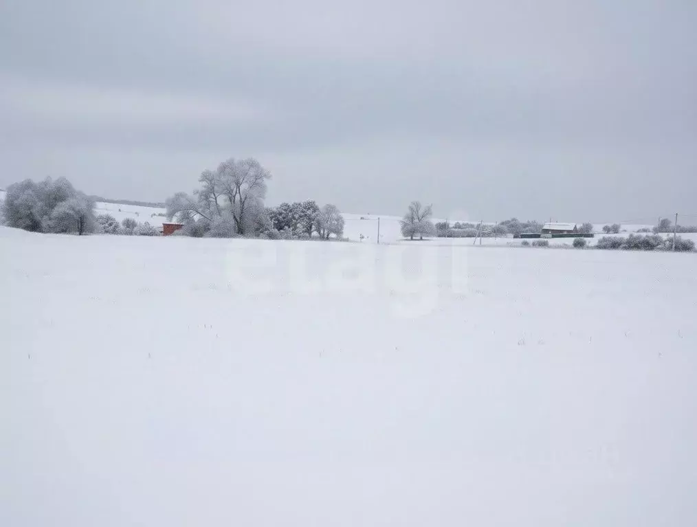 Участок в Тульская область, Новомосковск городской округ, с. Стрельцы  ... - Фото 1