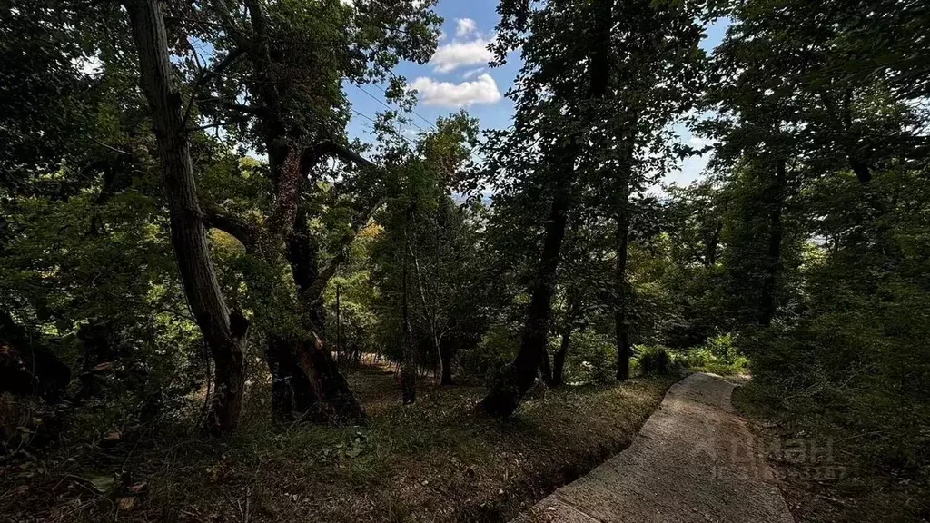 Участок в Краснодарский край, Сочи городской округ, с. Верхний Юрт  ... - Фото 1