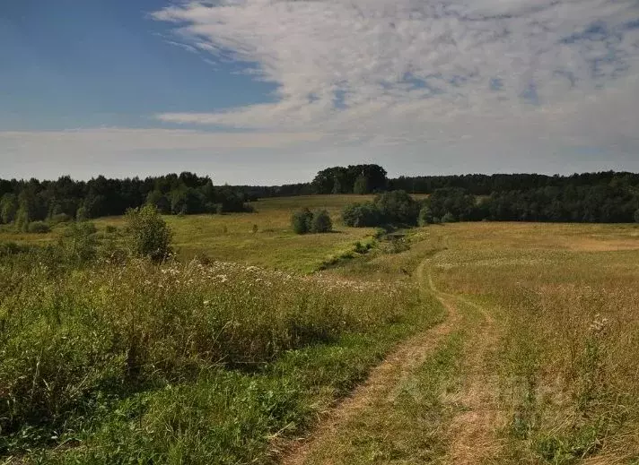 Участок в Вологодская область, д. Голубково  (11.15 сот.) - Фото 1