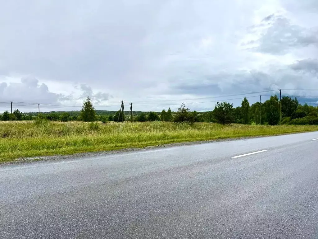 Участок в Татарстан, Пестречинский район, Богородское с/пос, д. Куюки  ... - Фото 2