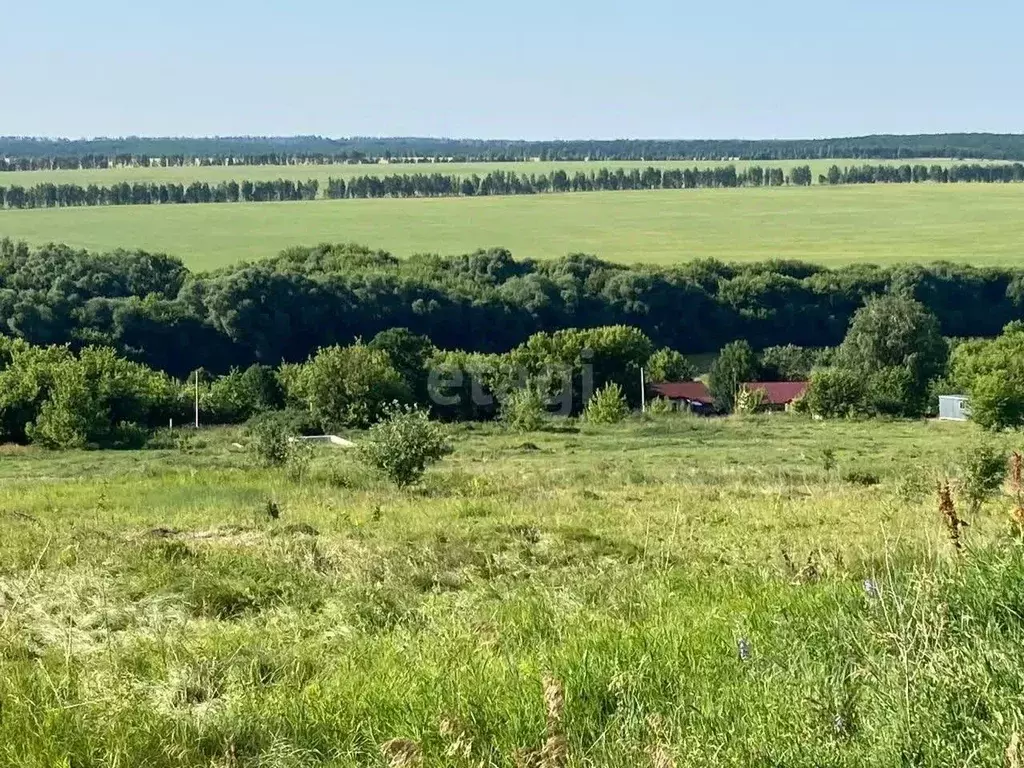 Участок в Липецкая область, Елецкий район, с. Голиково  (105.7 сот.) - Фото 0