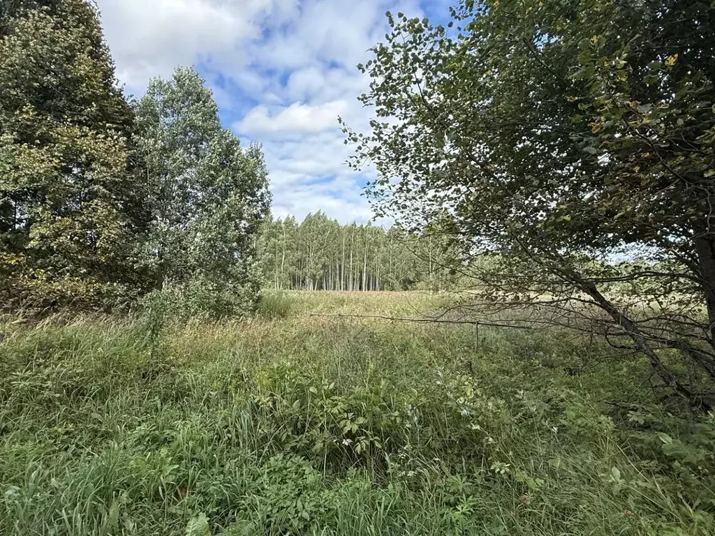 Участок в Смоленская область, Смоленский муниципальный округ, д. ... - Фото 1