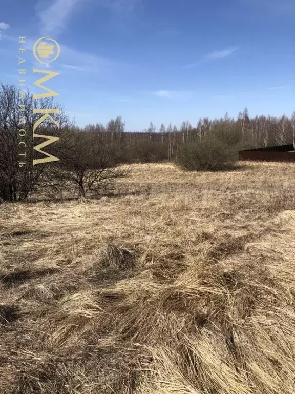 Участок в Нижегородская область, Богородский муниципальный округ, с. ... - Фото 1