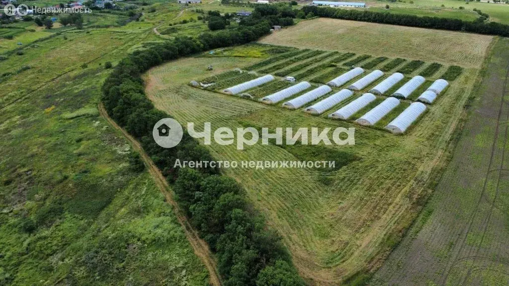 Участок в Ставропольский край, Предгорный муниципальный округ, село ... - Фото 1