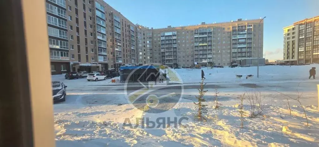 Помещение свободного назначения в Ямало-Ненецкий АО, Новый Уренгой ... - Фото 2