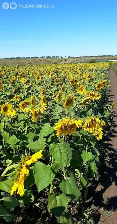 Участок в Хаджи, Малая улица (21 м) - Фото 0