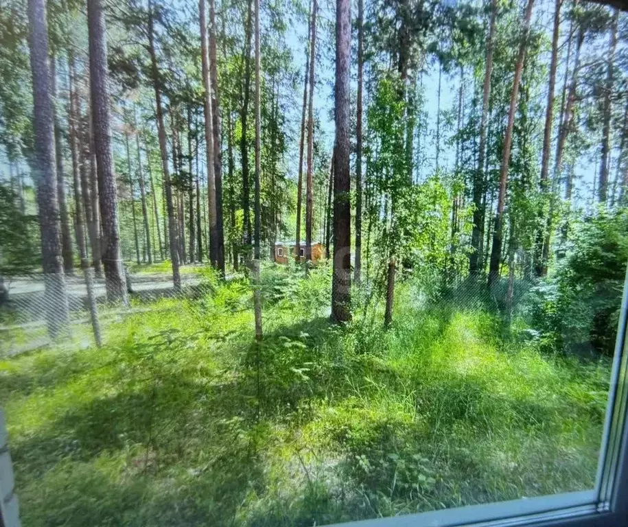 3-к кв. Марий Эл, Медведевский район, Кундышское с/пос, пос. Сурок ул. ... - Фото 1