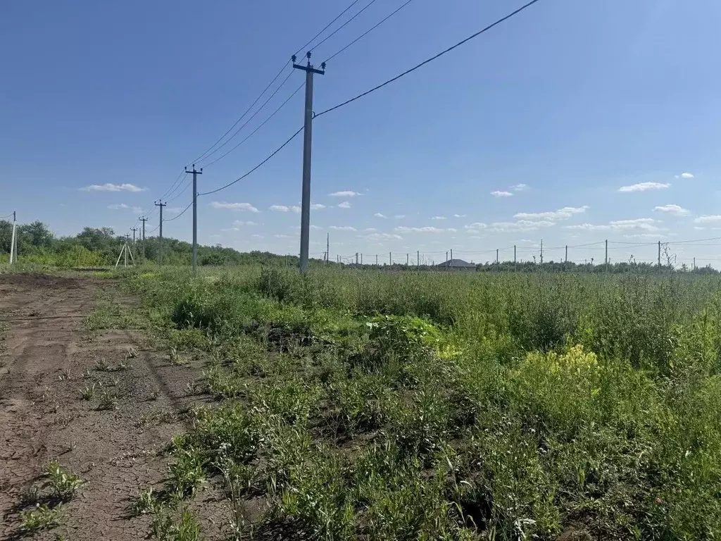 Участок в Оренбургская область, Оренбургский район, Нежинский ... - Фото 1