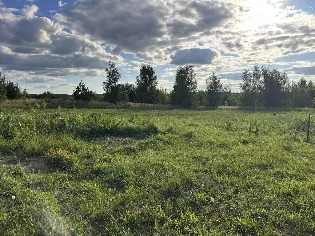 Участок в Нижегородская область, Нижний Новгород с. Большое Мокрое,  ... - Фото 1