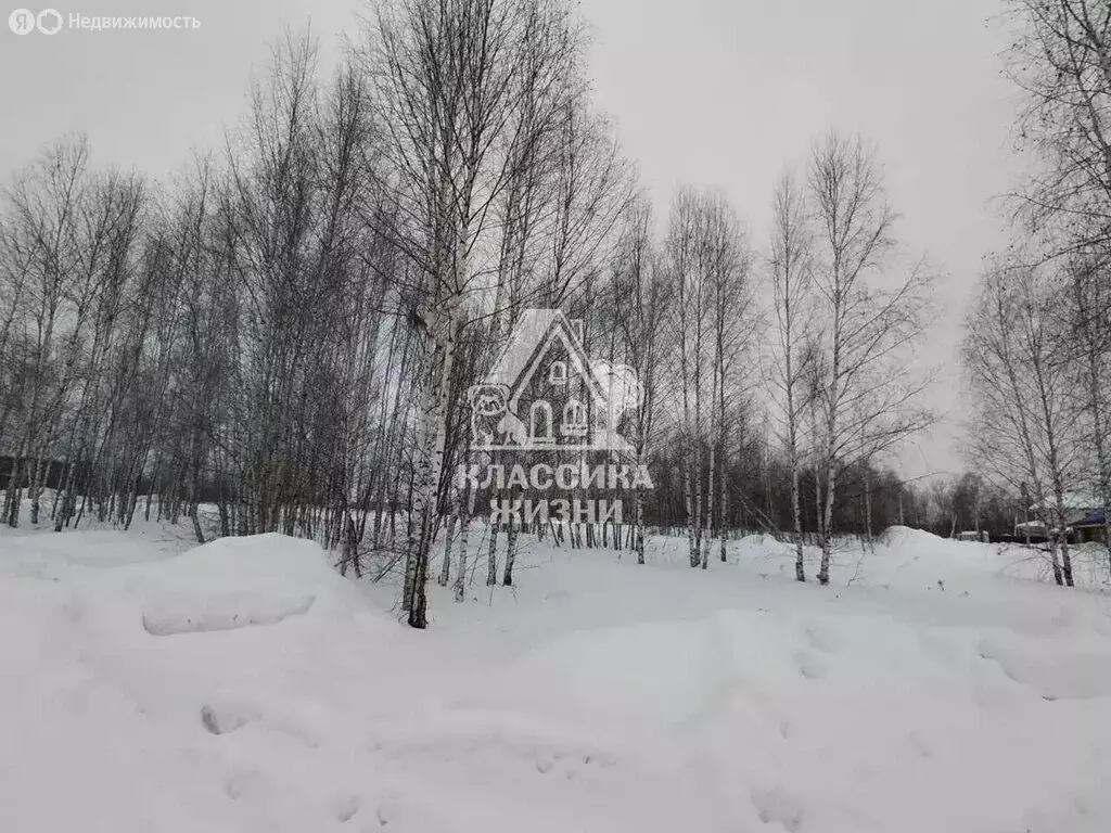 Участок в Бор, микрорайон Горелово, 1-я улица (8 м) - Фото 2
