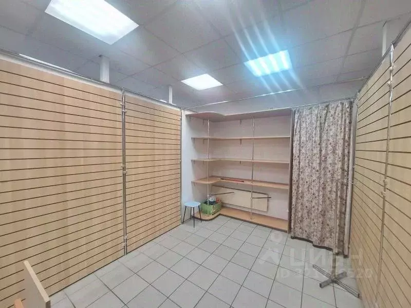 Торговая площадь в Самарская область, Тольятти Ленинский просп., 14А ... - Фото 1