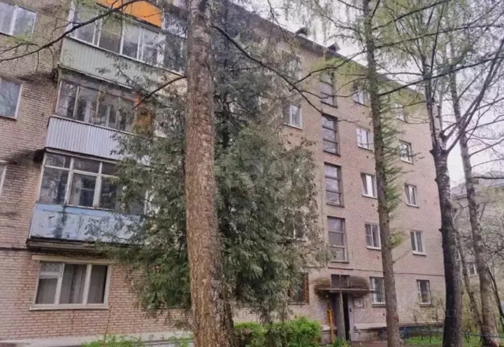 2-к кв. Московская область, Пушкино Заветы Ильича мкр, Железнодорожная ... - Фото 1