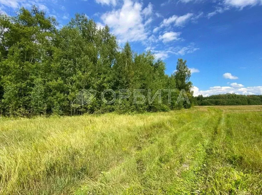 Участок в Тюменская область, Тюменский муниципальный округ, д. Елань ... - Фото 1