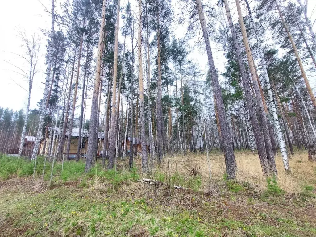 Участок в Свердловская область, Сысертский муниципальный округ, пос. ... - Фото 1