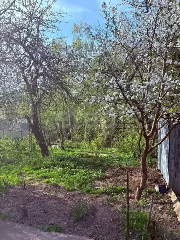Дом в Брянская область, Брянский район, Супоневское с/пос, с. Супонево ... - Фото 1