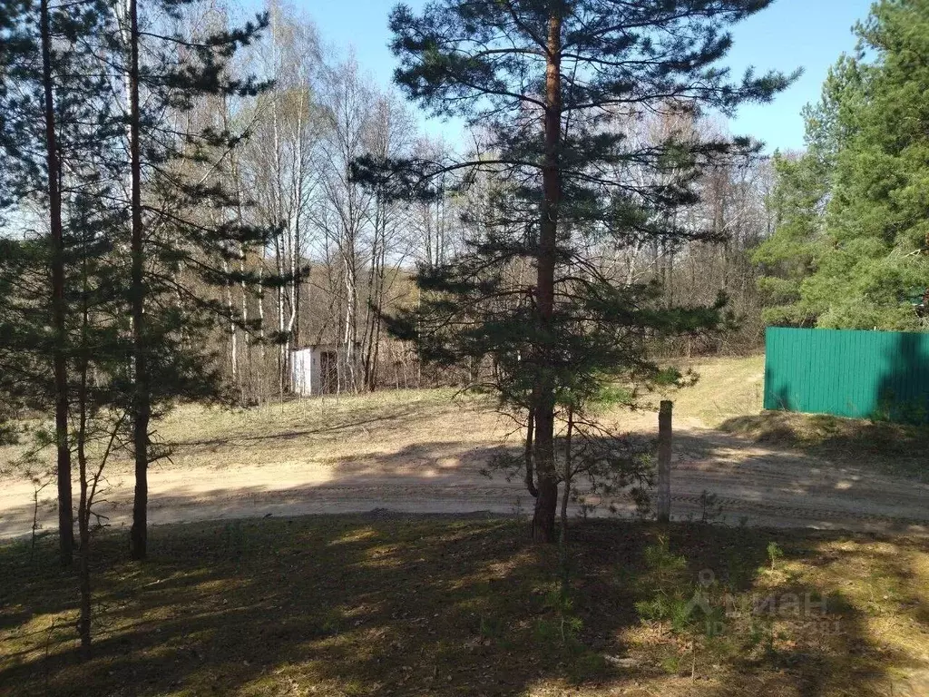 Участок в Владимирская область, Судогодский район, Лавровское ... - Фото 1