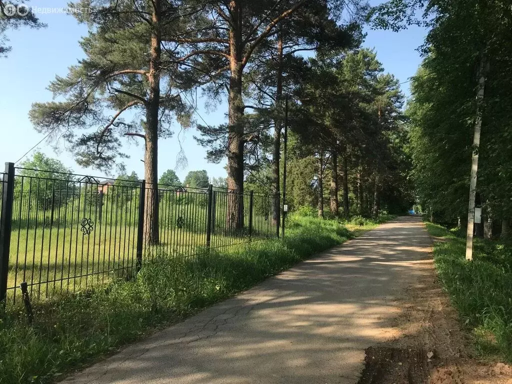Участок в село Жаворонки, Болотная улица, 19 (16 м) - Фото 0
