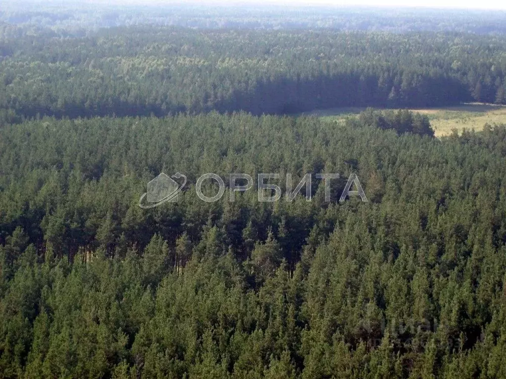 Участок в Свердловская область, Ревда муниципальный округ, пос. ... - Фото 1