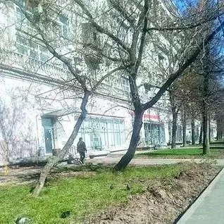 Помещение свободного назначения в Москва Ленинградский просп., 44 (254 ... - Фото 2