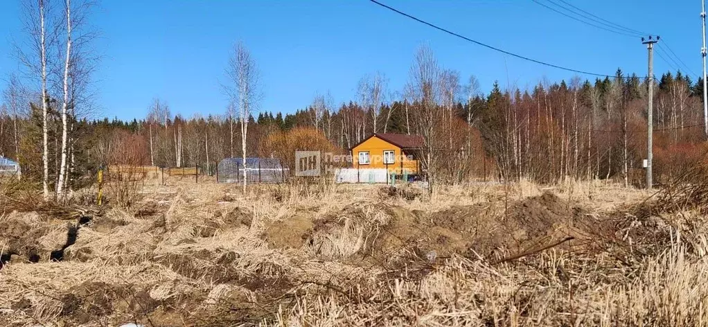 Участок в Ленинградская область, Выборгский район, Рощинское городское ... - Фото 0
