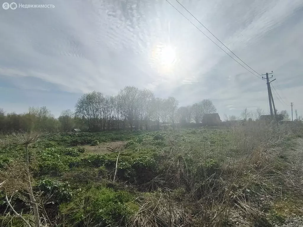 Участок в Бережковское сельское поселение (13.5 м) - Фото 1