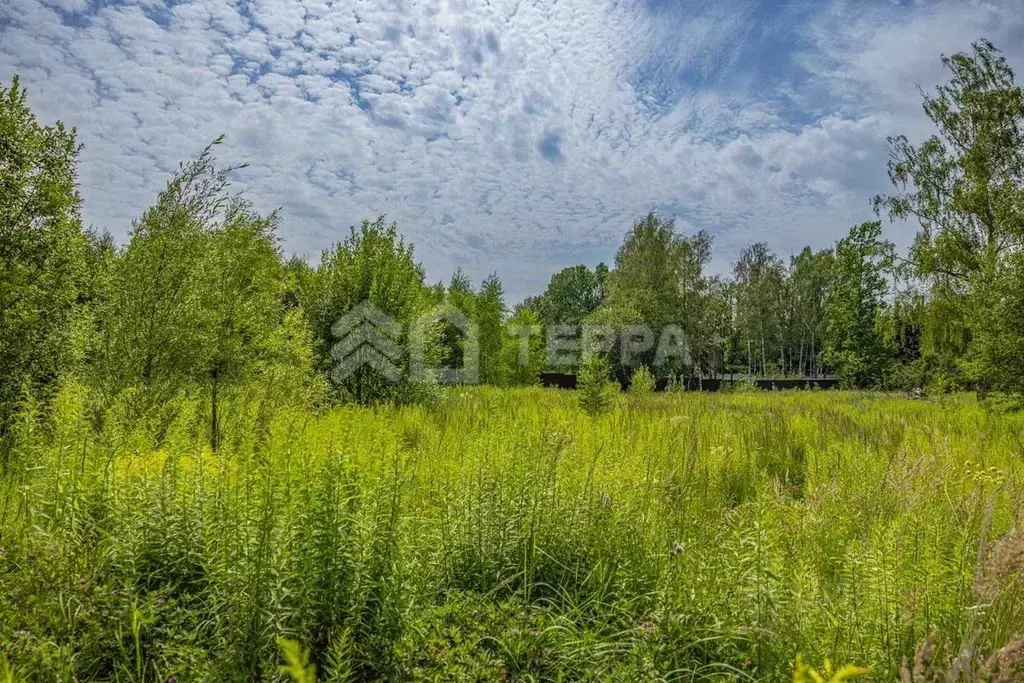 Участок в Московская область, Истра муниципальный округ, д. ... - Фото 1