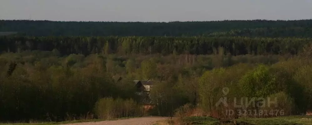 Участок в Новгородская область, Валдайский район, Яжелбицкое с/пос, д. ... - Фото 1