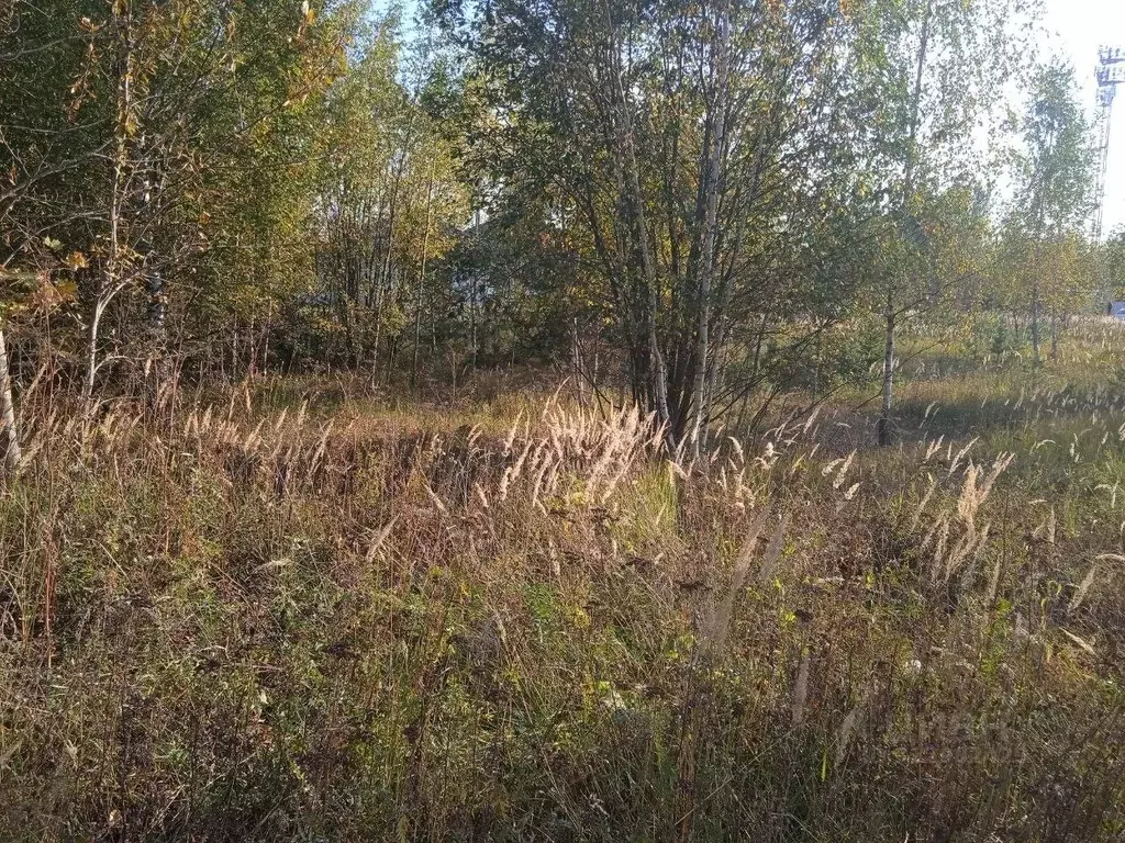 Участок в Московская область, Сергиево-Посадский городской округ, д. ... - Фото 1