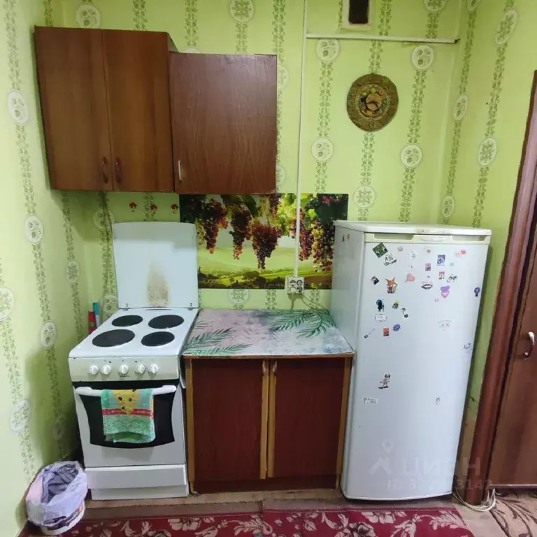 Студия Алтайский край, Барнаул Тимуровская ул., 62 (18.0 м) - Фото 0