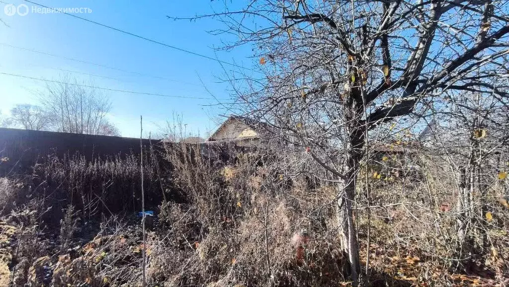 Участок в Челябинск, СНТ Энергосад-1, 5-я улица (2.9 м) - Фото 2