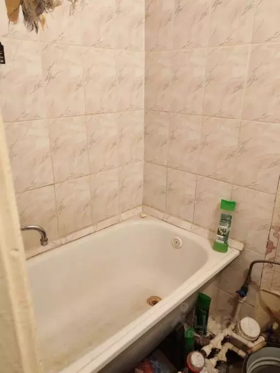 1-к кв. Белгородская область, Старый Оскол Интернациональный мкр, 28 ... - Фото 1