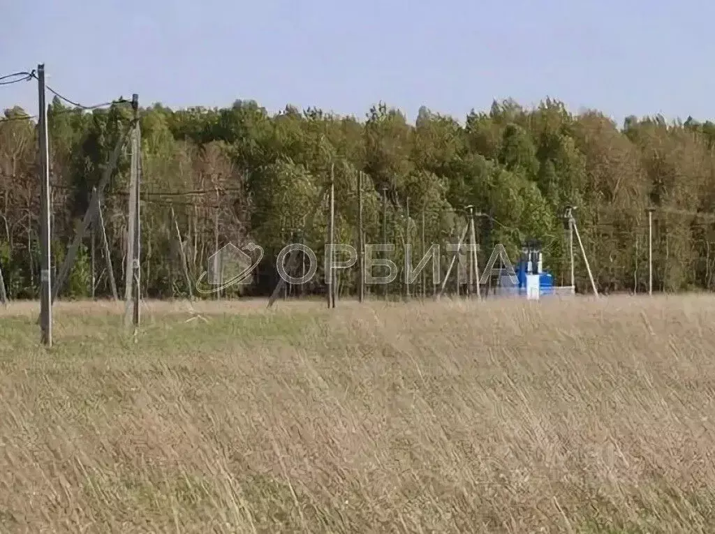Участок в Тюменская область, Тюменский район, д. Падерина Кленовая ул. ... - Фото 0