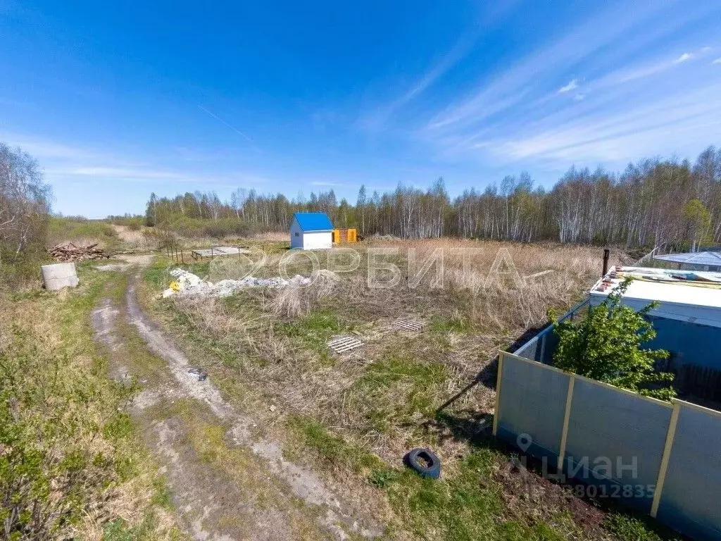 Участок в Тюменская область, Тюмень Автомобилист СНТ, ул. Рябиновая ... - Фото 0