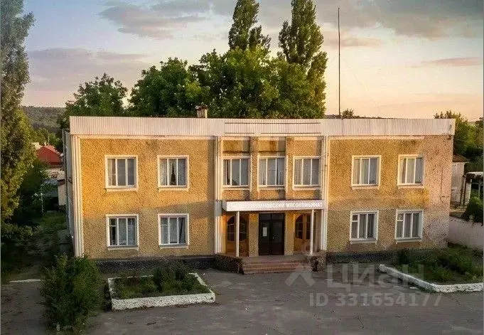 Производственное помещение в Воронежская область, Бутурлиновка ул. ... - Фото 1
