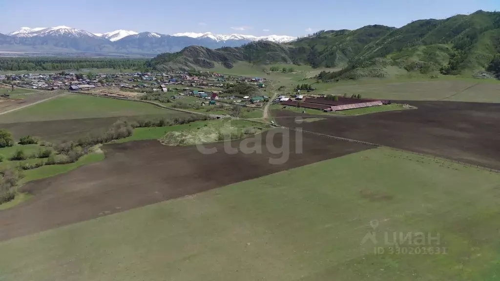 Участок в Алтай, Усть-Коксинский район, с. Верх-Уймон  (322.0 сот.) - Фото 1