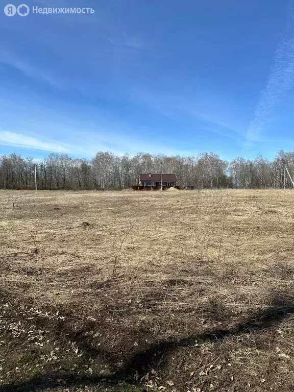 Участок в Октябрьский, микрорайон Радужный (9.16 м) - Фото 1