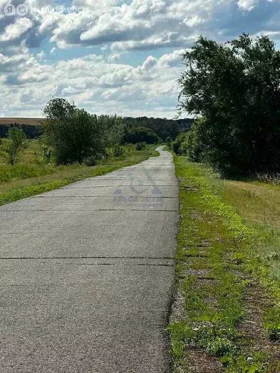 Участок в Оренбургский район, село Зубаревка (50000 м) - Фото 0