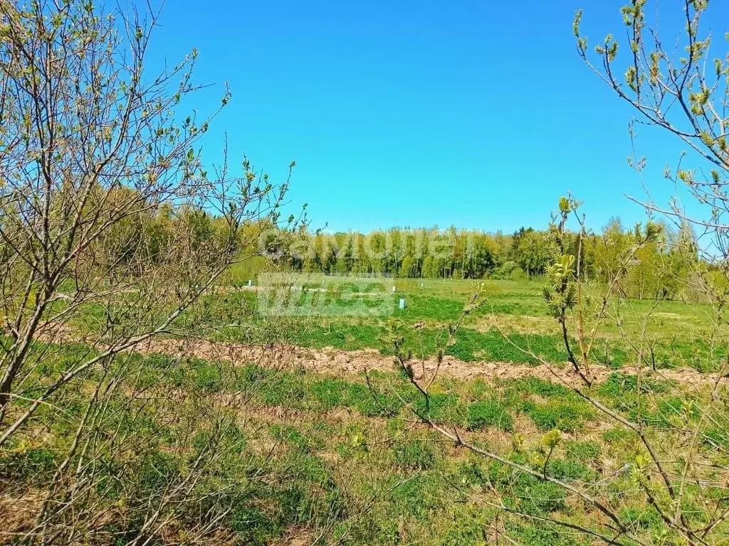 Участок в Московская область, Солнечногорск городской округ, д. ... - Фото 2