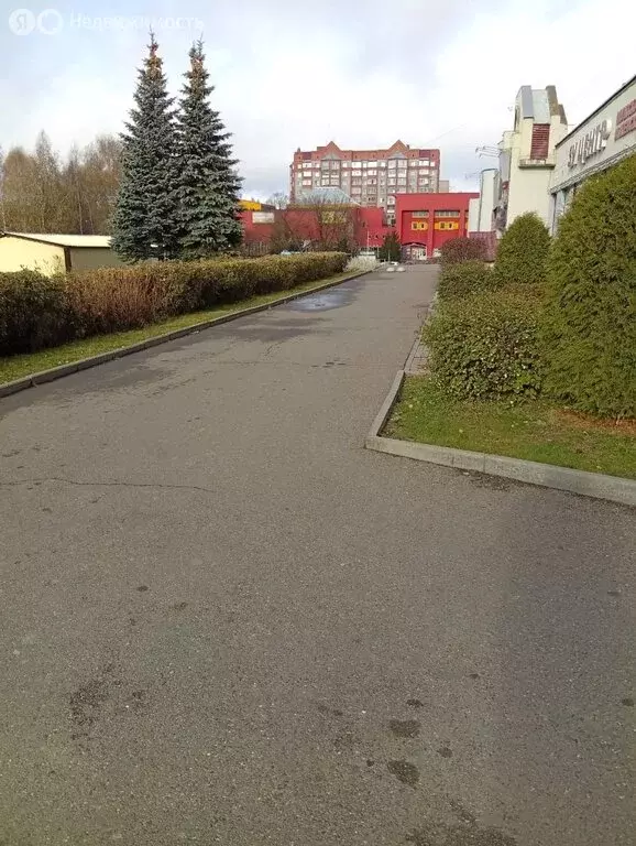 Торговая площадь (92.5 м) - Фото 1