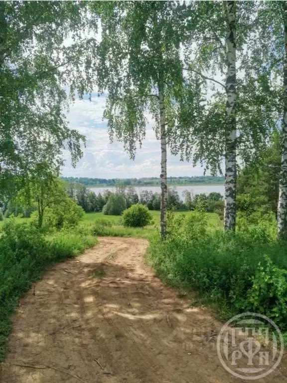 Дом в Ленинградская область, Лужский район, Скребловское с/пос, д. ... - Фото 1