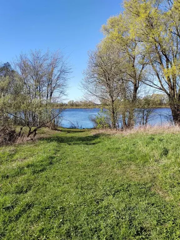 Участок в Новгородская область, Новгородский район, Бронницкое с/пос, ... - Фото 1